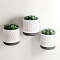 The Pillar Wall Planter Set