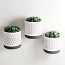 The Pillar Wall Planter Set