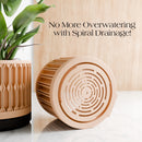 The Pillar Wall Planter Set