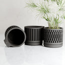 The Pillar Wall Planter Set