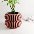 Orchid Planter DOUBLE BUBBLES