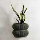 Wall Planter - Double BUBBLES