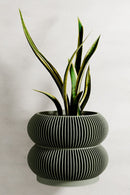 Wall Planter - Double BUBBLES