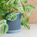 KANSO Planter