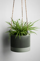 Hanging Sakura Planter
